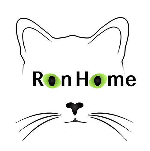 Blog Ron Home